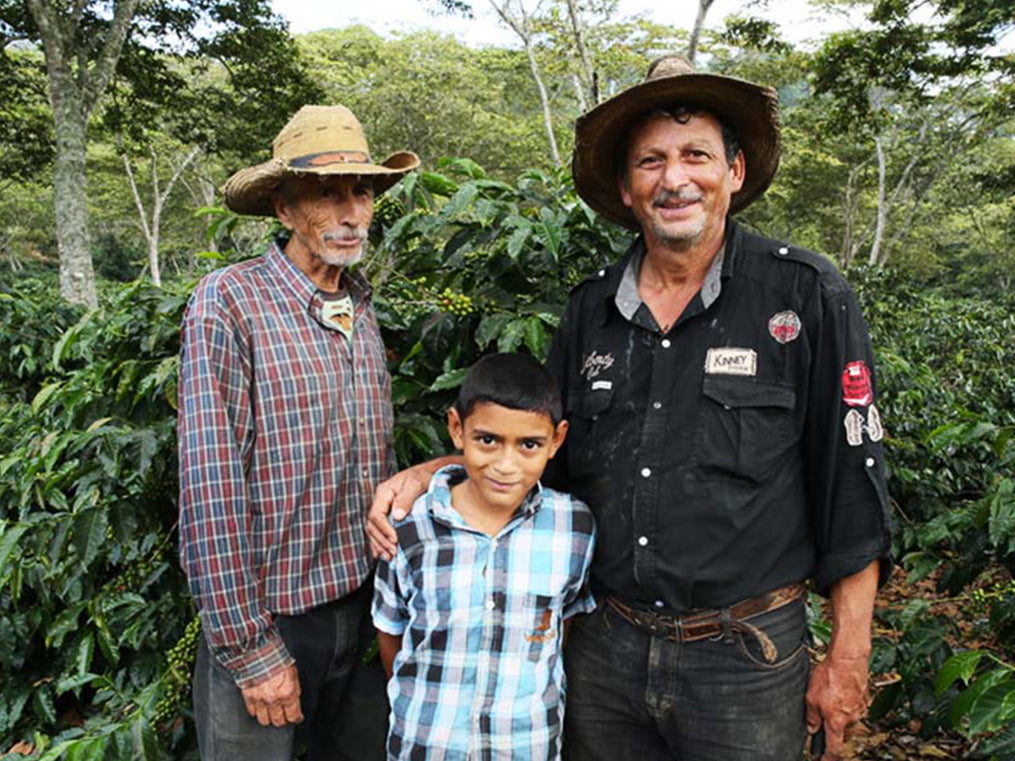深煎り グアテマラ  サンアグスティン ピューマ ウォッシュトコーヒー豆