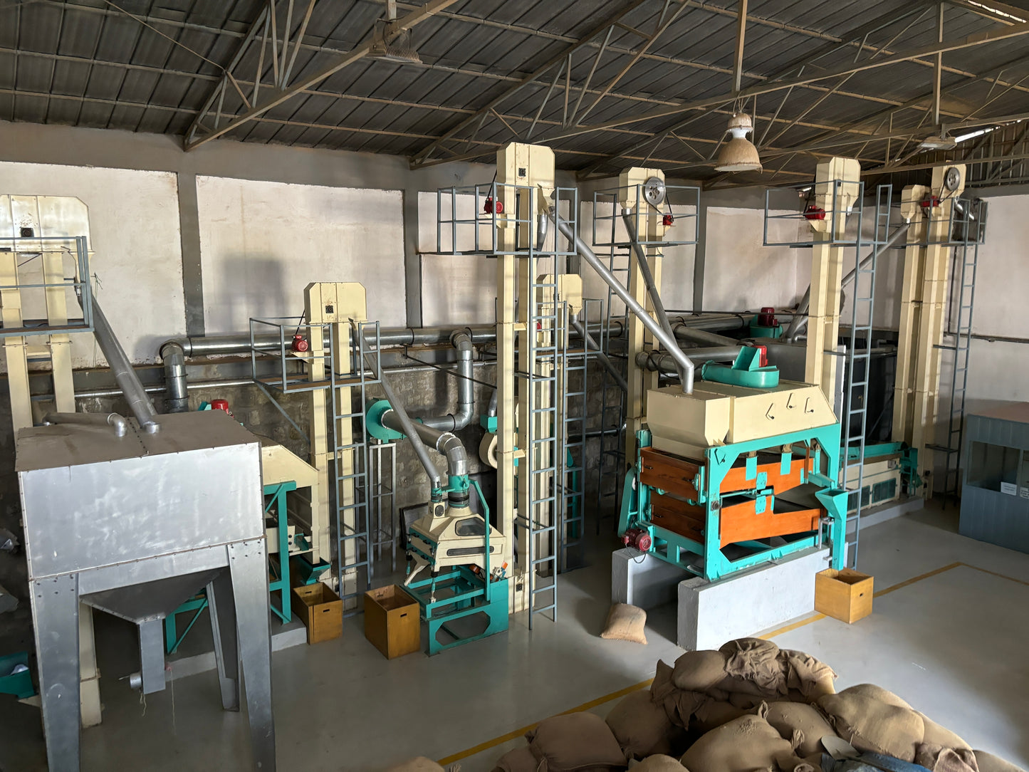 浅煎り エチオピア イルガチェフェ ハルスケ ナチュラル コーヒー豆