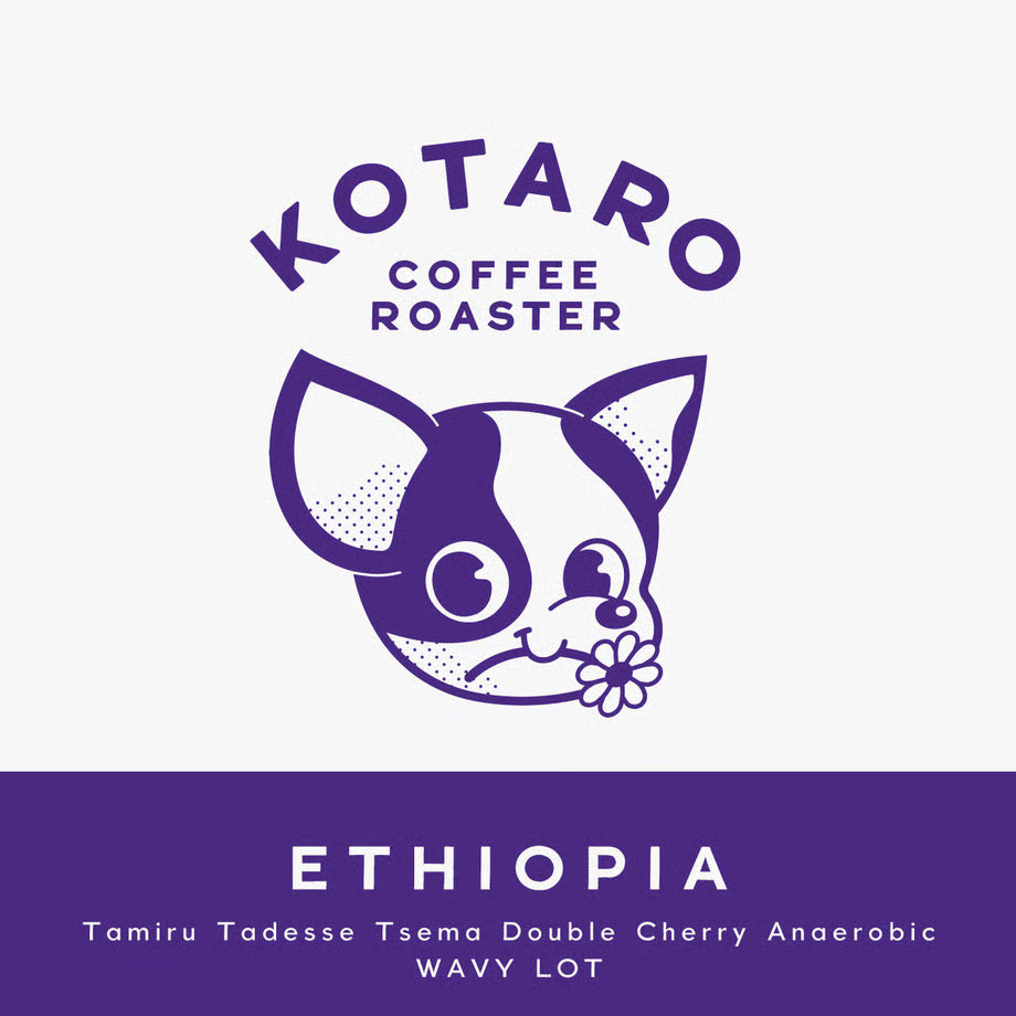 浅煎り エチオピア タミル タデッセ テセマ ダブルチェリーアナエロビック WAVY LOT コーヒー豆