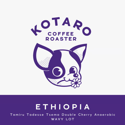 浅煎り エチオピア タミル タデッセ テセマ ダブルチェリーアナエロビック WAVY LOT コーヒー豆